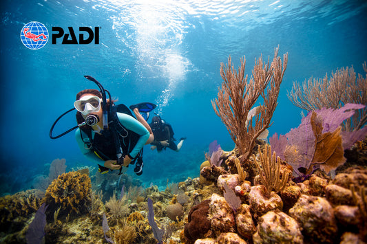 PADI open water diver course online